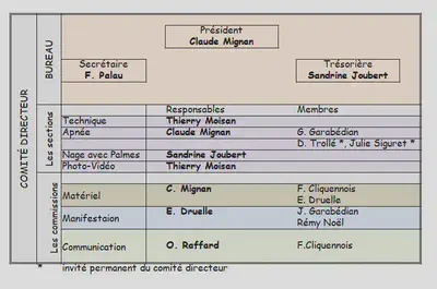 Le comité Directeur